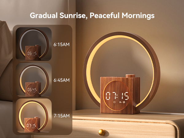 Dreamegg Sunrise Alarm Clock