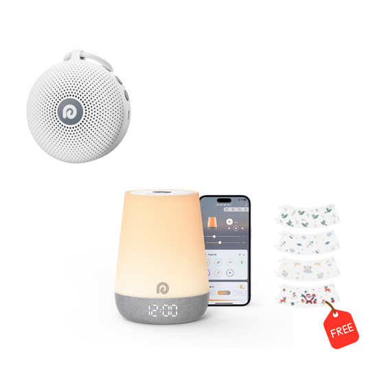 Bundle Sale - Dreamegg Nite 1 & Lite D11 Max