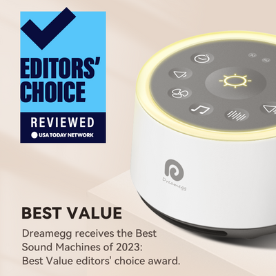 Classic D1 | The Iconic Sound Machine
