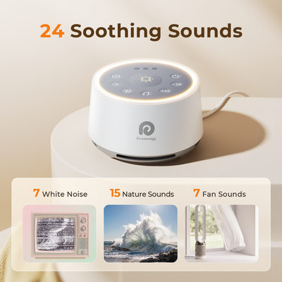 Classic D1 | The Iconic Sound Machine