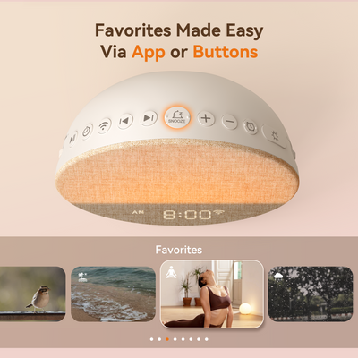 Sunrise 1+ | Connected Sunrise Alarm Clock