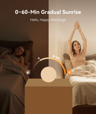 Dreamegg Sunrise 2 (No App Control)